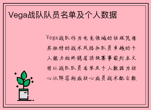Vega战队队员名单及个人数据