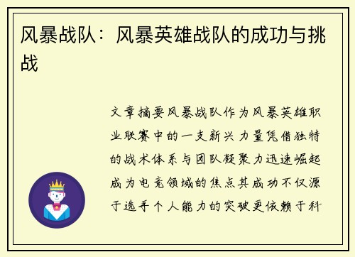 风暴战队：风暴英雄战队的成功与挑战